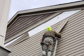 Best Vinyl Siding Installation  in Pumpkin Center, NC